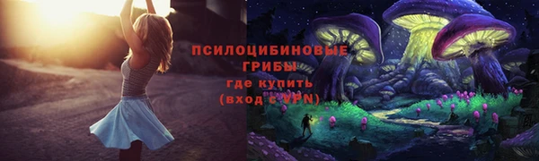 дурь Коряжма