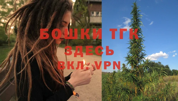 дурь Коряжма