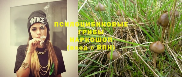 дурь Коряжма