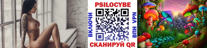 Купить где  Качканар  Галлюциногенные грибы Magic Shrooms 